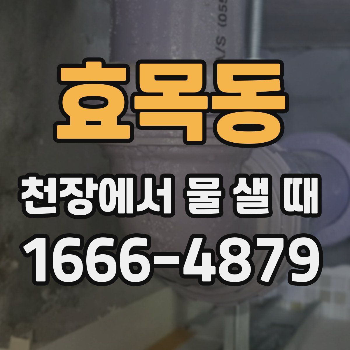 효목동 천장에서 물 샐 때