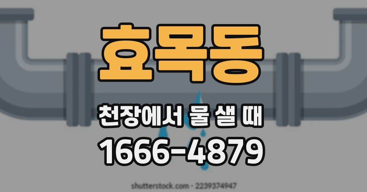 효목동 천장에서 물 샐 때