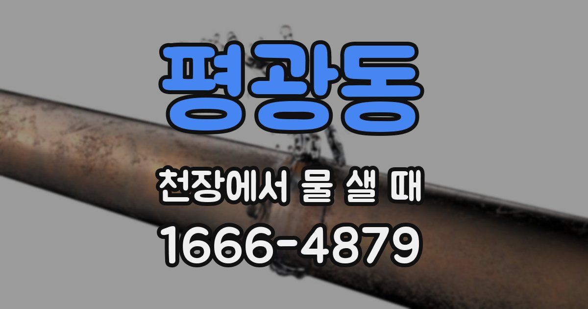 평광동 천장에서 물 샐 때