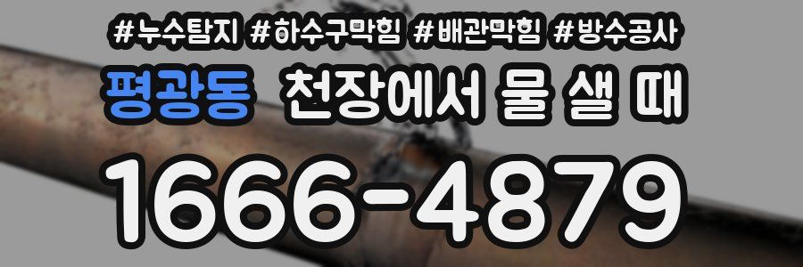 평광동 천장에서 물 샐 때