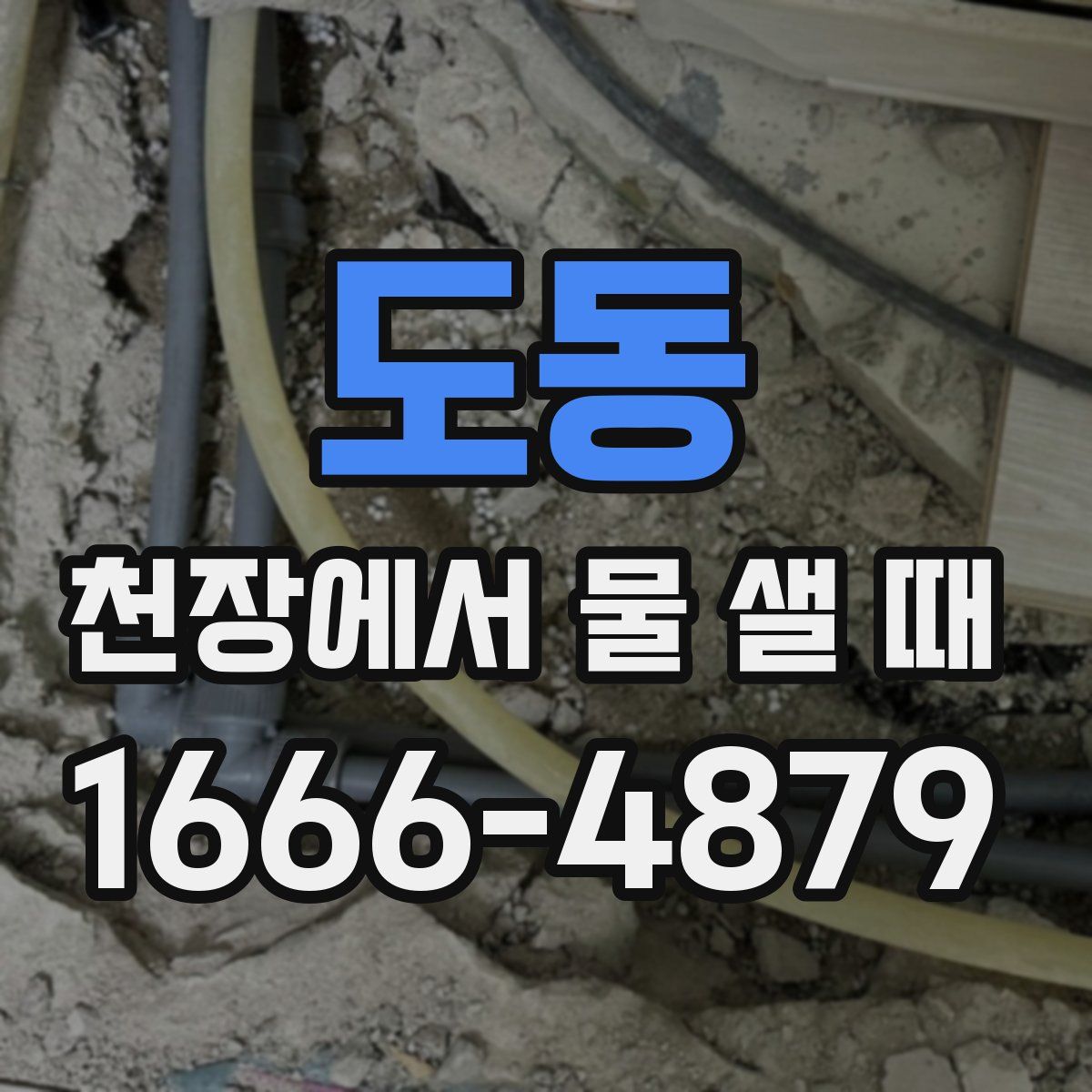 도동 천장에서 물 샐 때