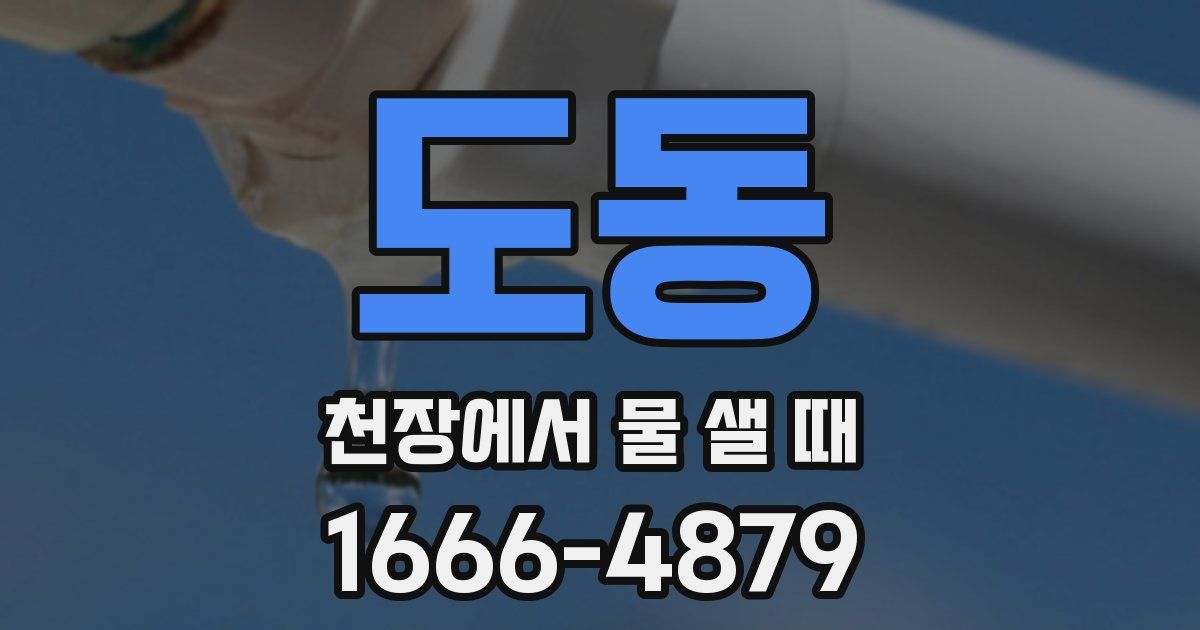 도동 천장에서 물 샐 때