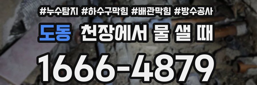 도동 천장에서 물 샐 때