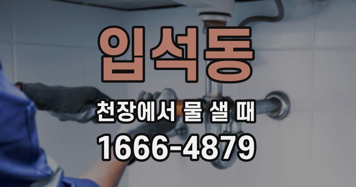 입석동 천장에서 물 샐 때