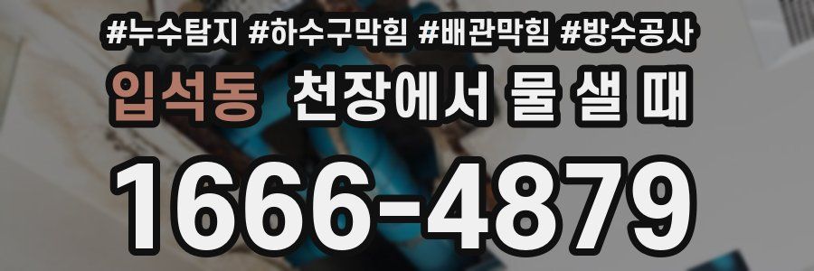 입석동 천장에서 물 샐 때