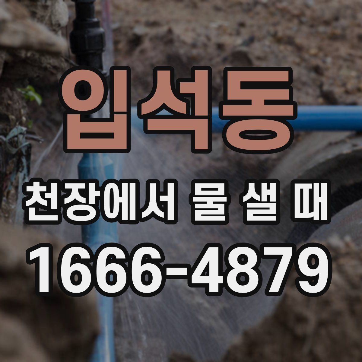 입석동 천장에서 물 샐 때