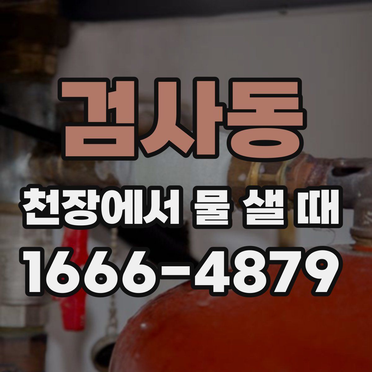 검사동 천장에서 물 샐 때