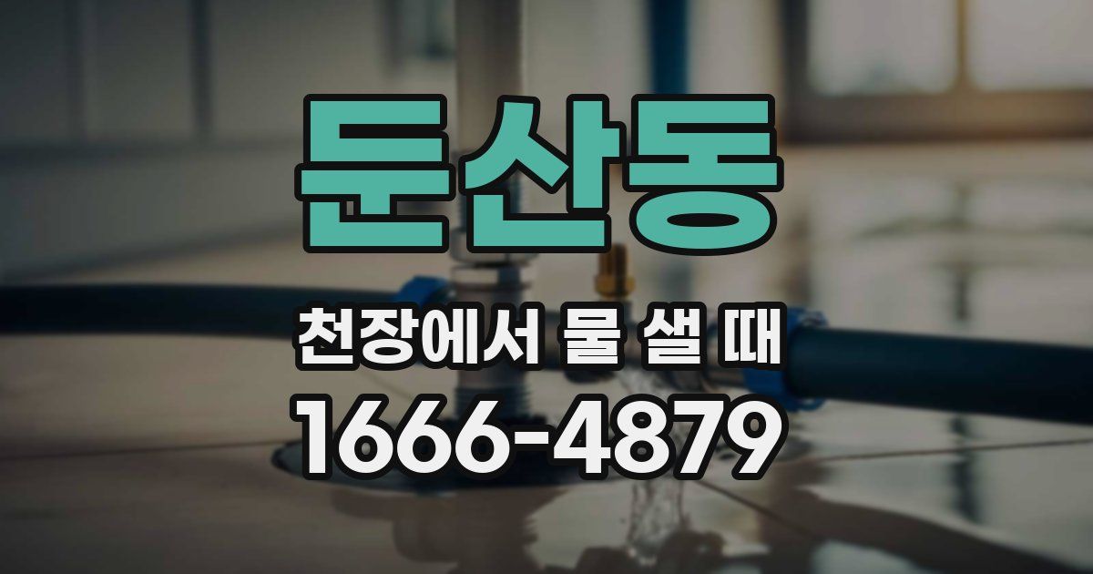 둔산동 천장에서 물 샐 때