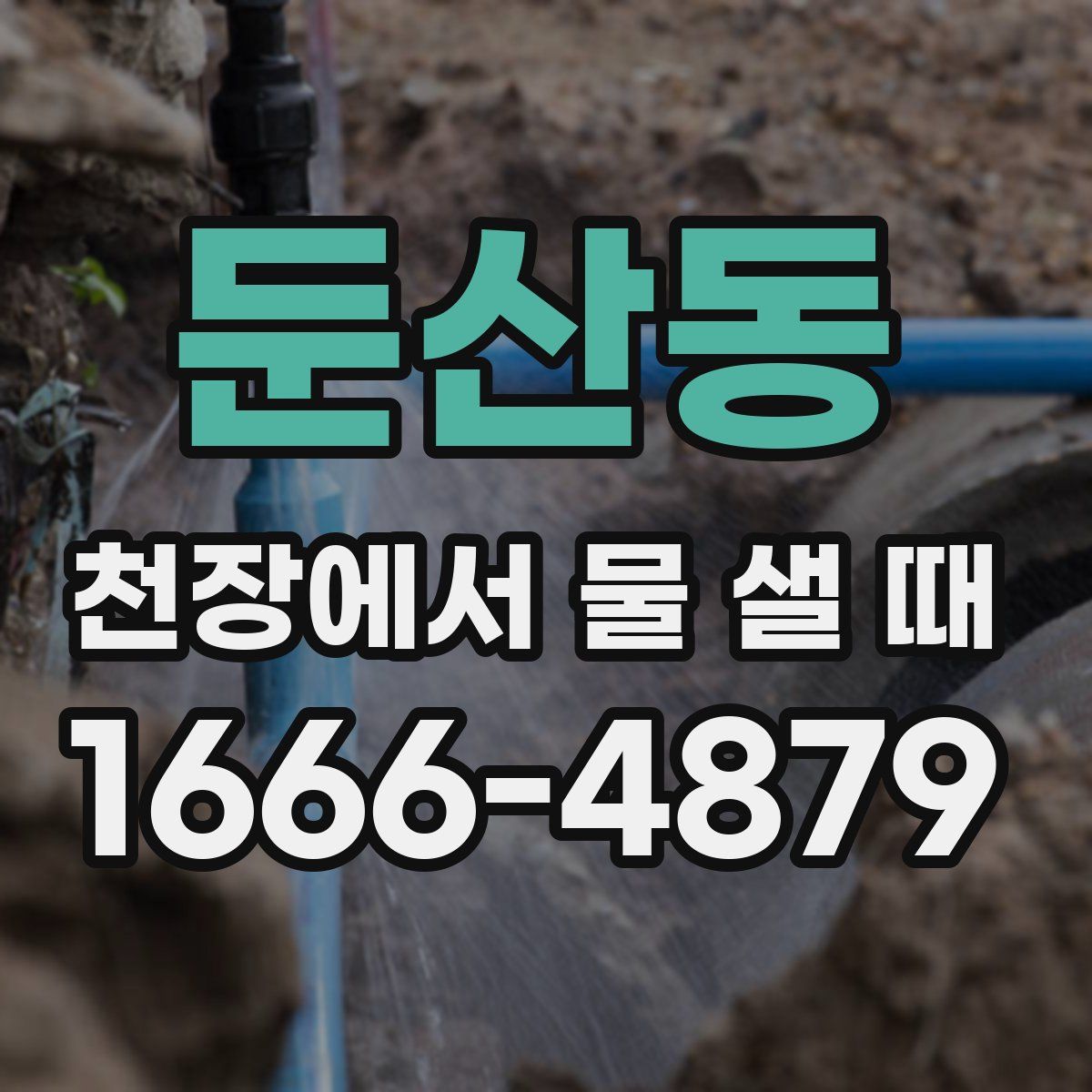 둔산동 천장에서 물 샐 때