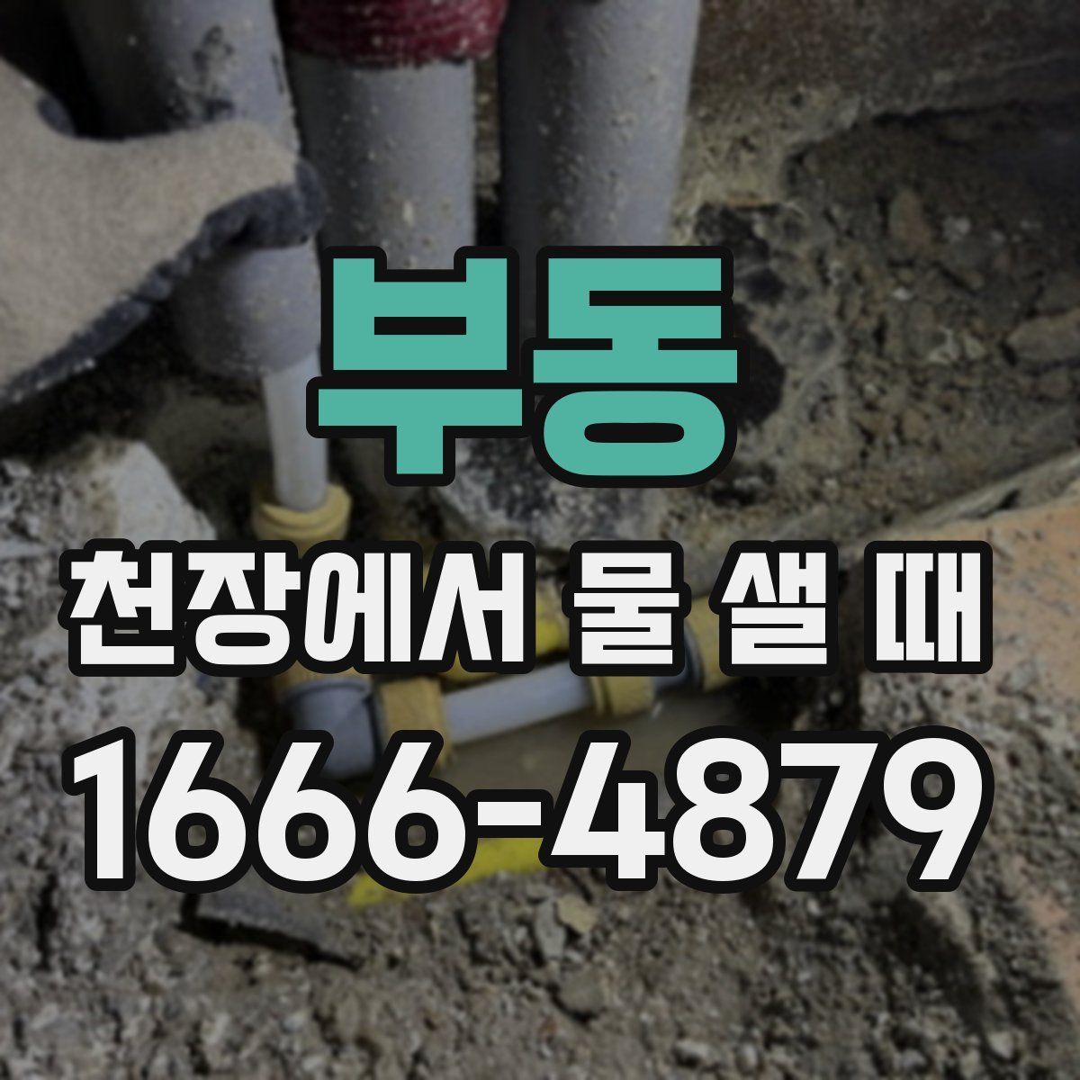 부동 천장에서 물 샐 때