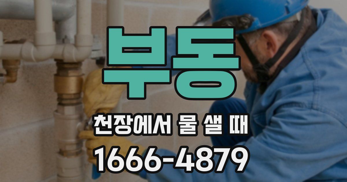 부동 천장에서 물 샐 때