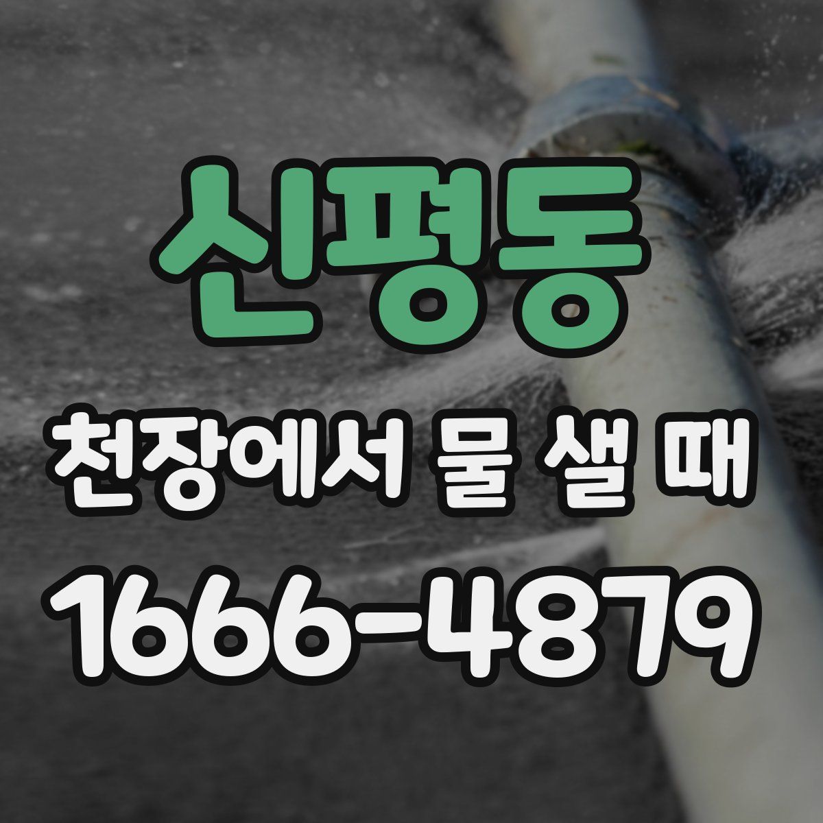 신평동 천장에서 물 샐 때