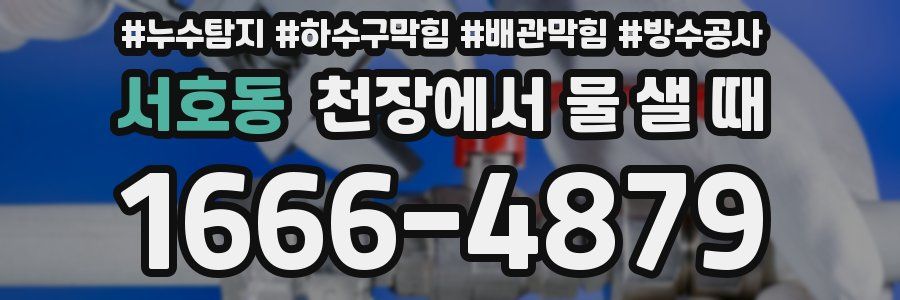 서호동 천장에서 물 샐 때