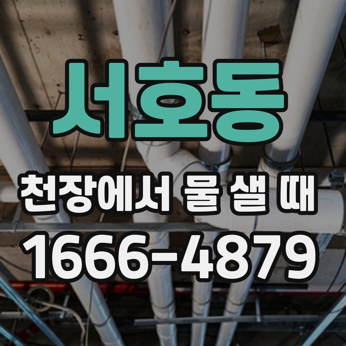 서호동 천장에서 물 샐 때