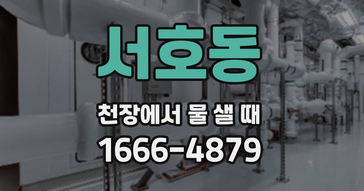 서호동 천장에서 물 샐 때