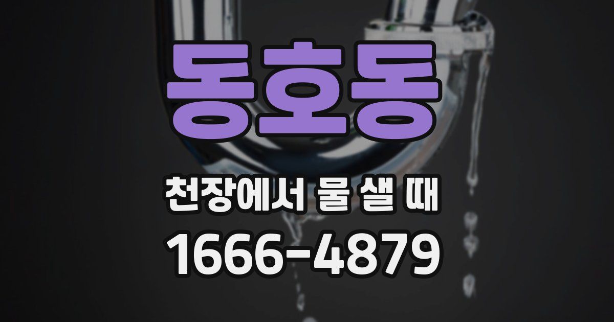 동호동 천장에서 물 샐 때