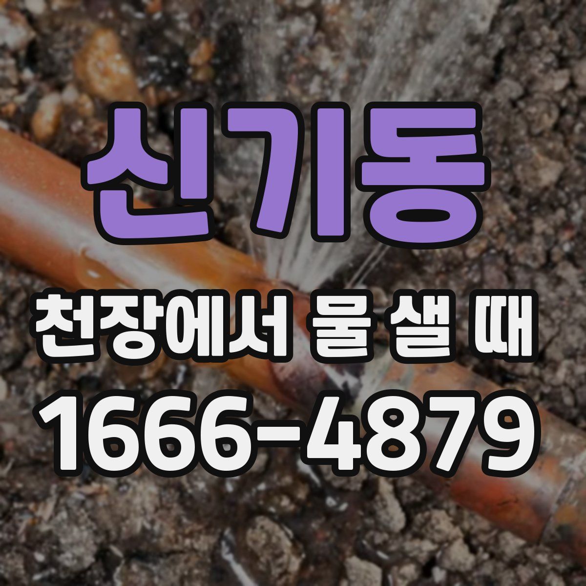 신기동 천장에서 물 샐 때