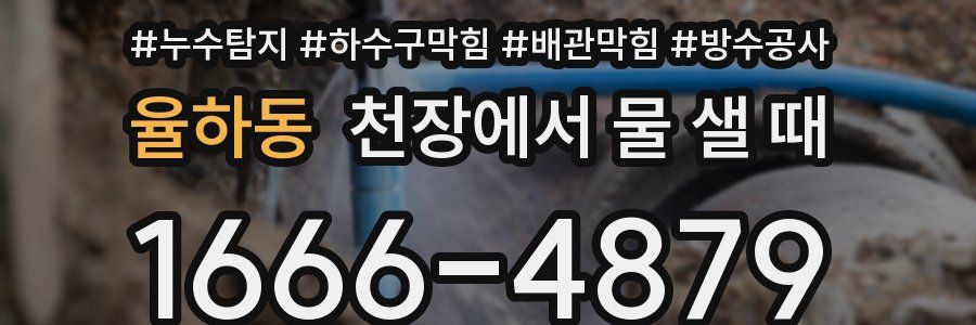 율하동 천장에서 물 샐 때