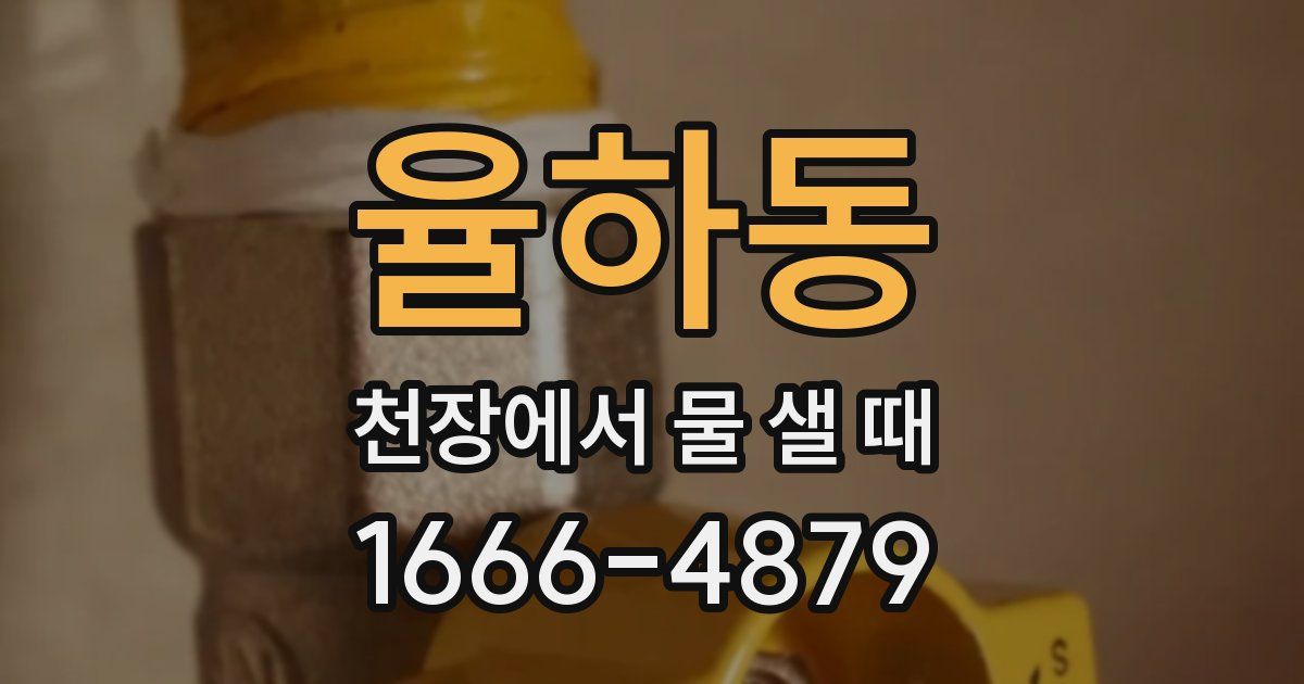 율하동 천장에서 물 샐 때