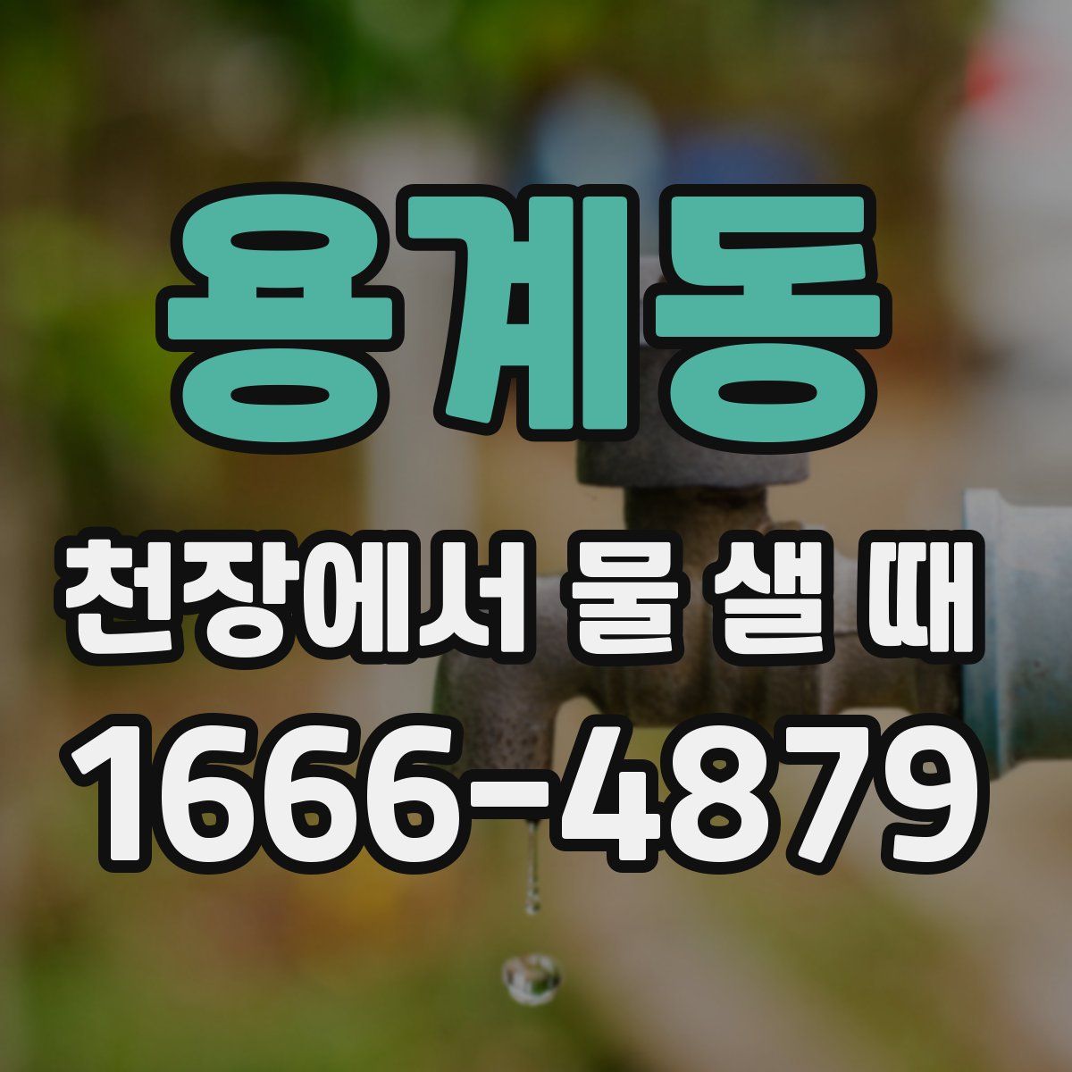 용계동 천장에서 물 샐 때