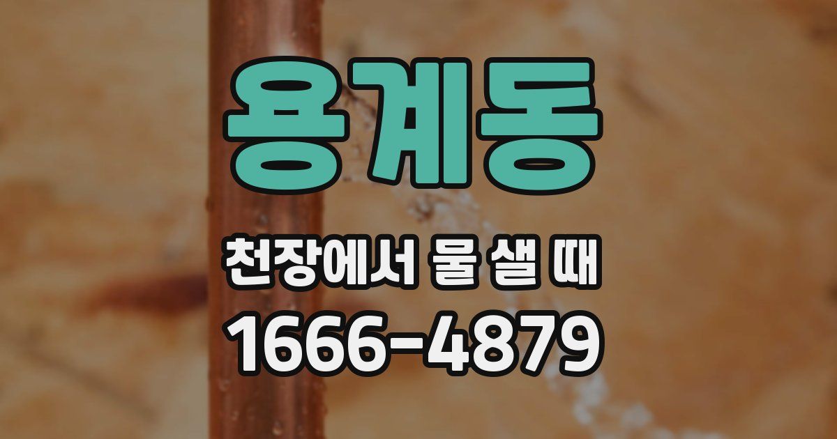 용계동 천장에서 물 샐 때