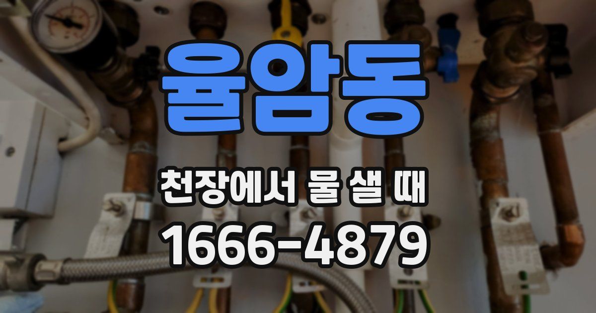 율암동 천장에서 물 샐 때