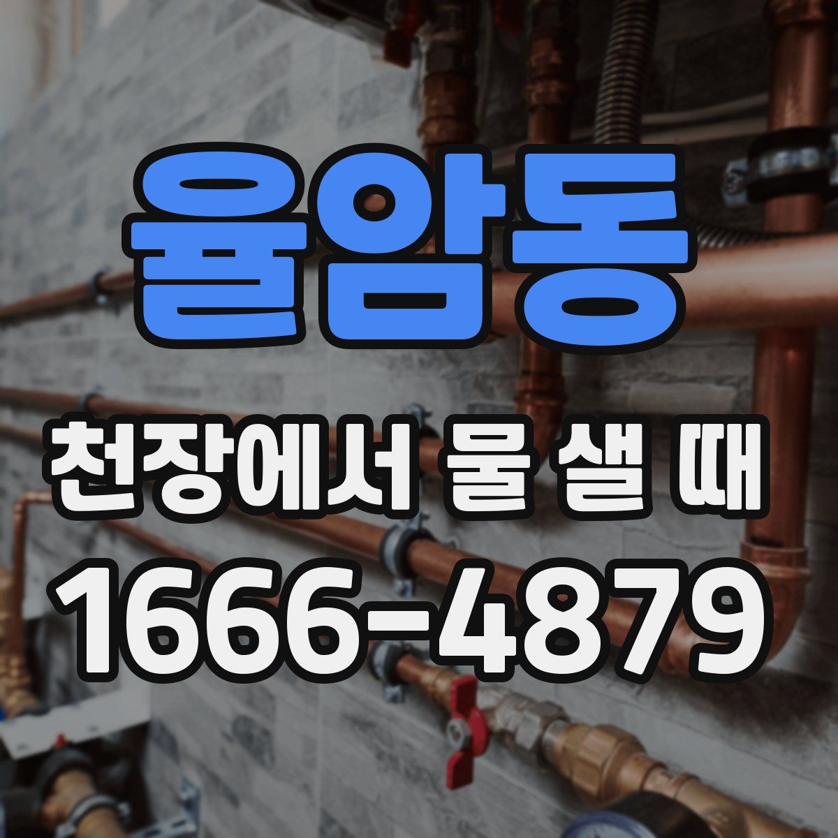 율암동 천장에서 물 샐 때