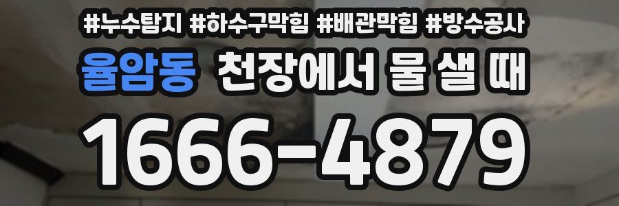 율암동 천장에서 물 샐 때