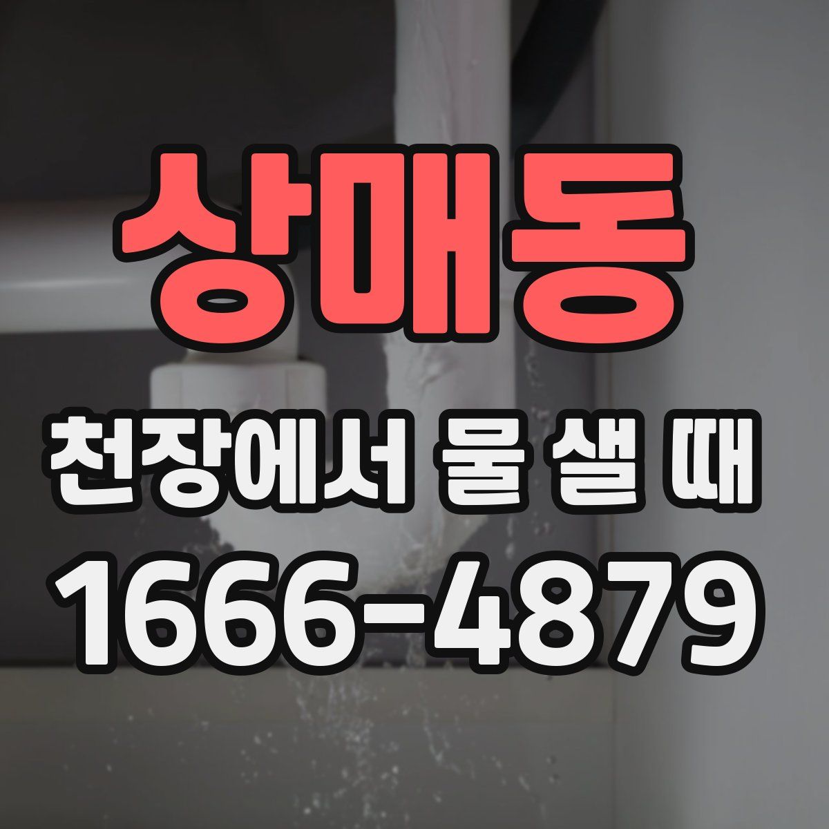 상매동 천장에서 물 샐 때