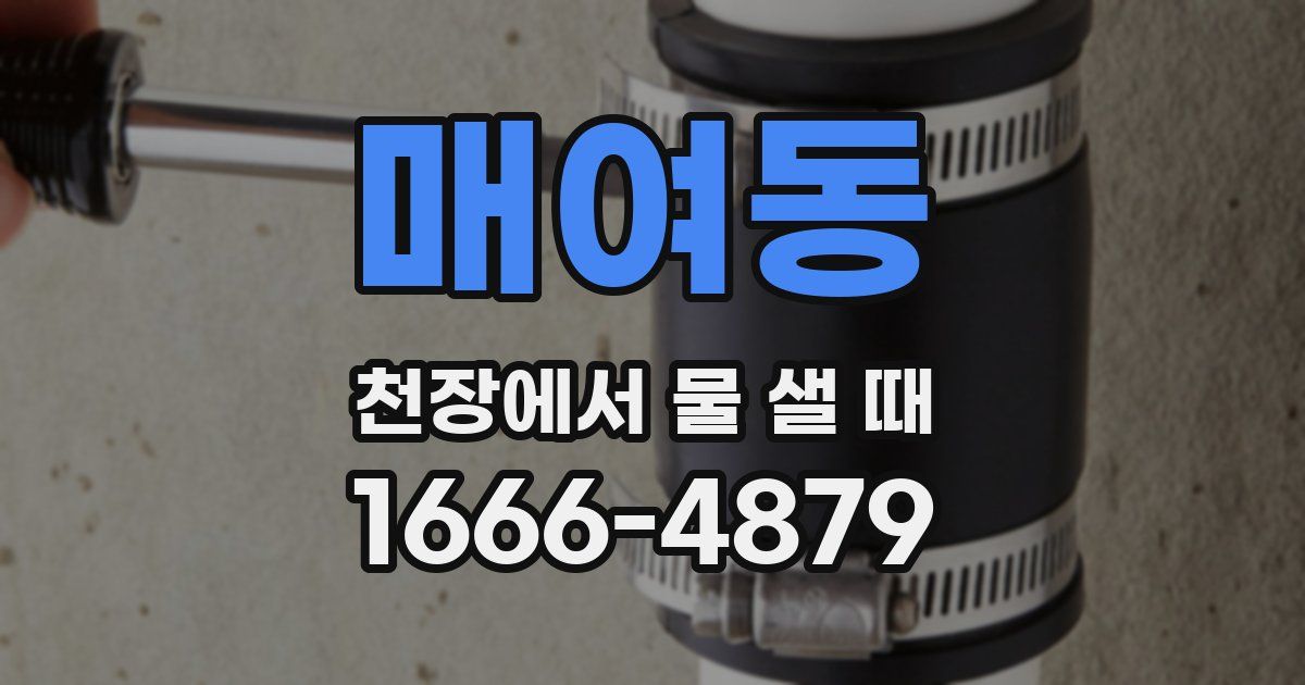매여동 천장에서 물 샐 때