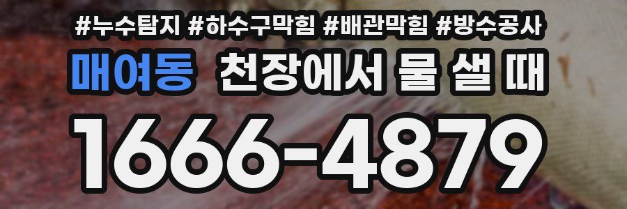 매여동 천장에서 물 샐 때
