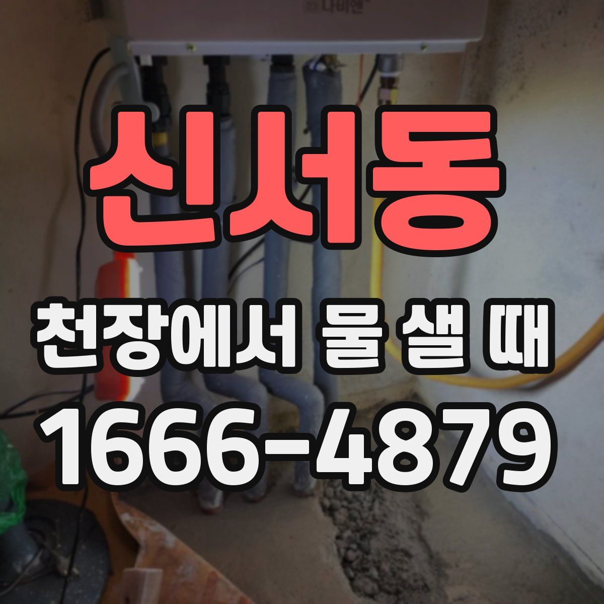 신서동 천장에서 물 샐 때