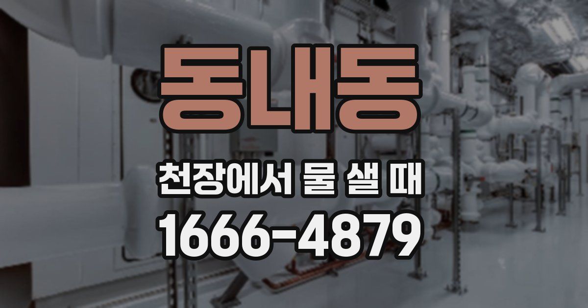 동내동 천장에서 물 샐 때