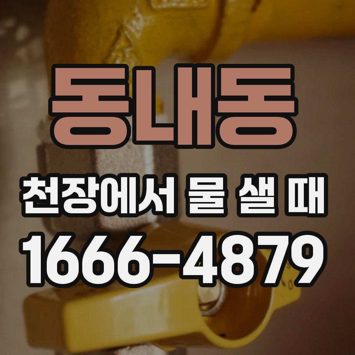 동내동 천장에서 물 샐 때