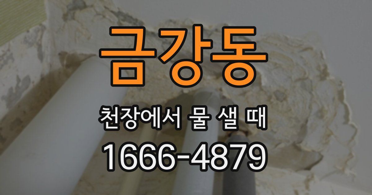 금강동 천장에서 물 샐 때