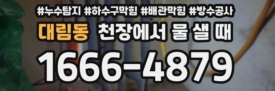 대림동 천장에서 물 샐 때