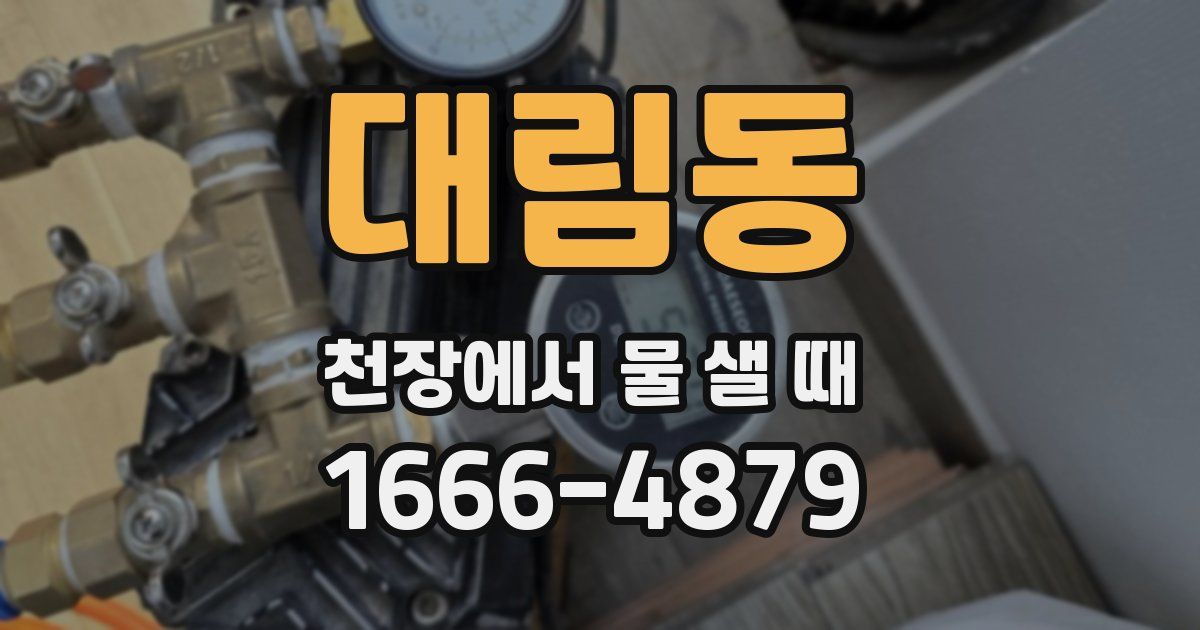 대림동 천장에서 물 샐 때