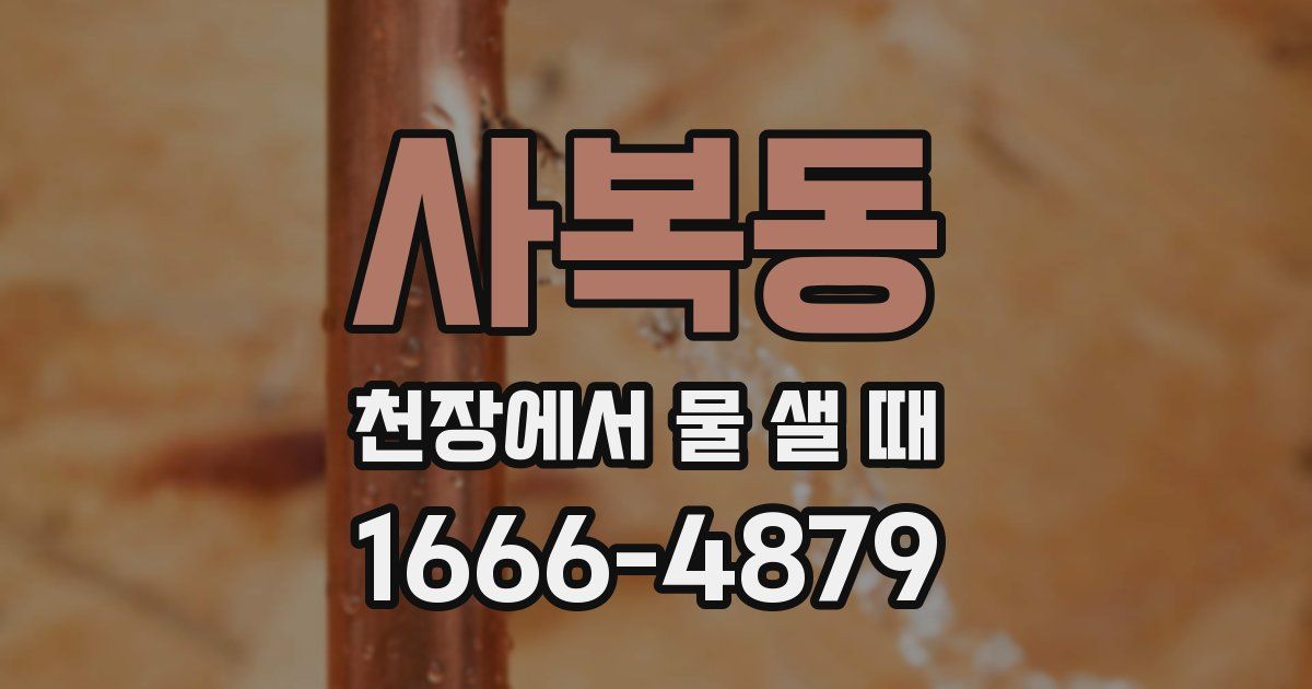 사복동 천장에서 물 샐 때