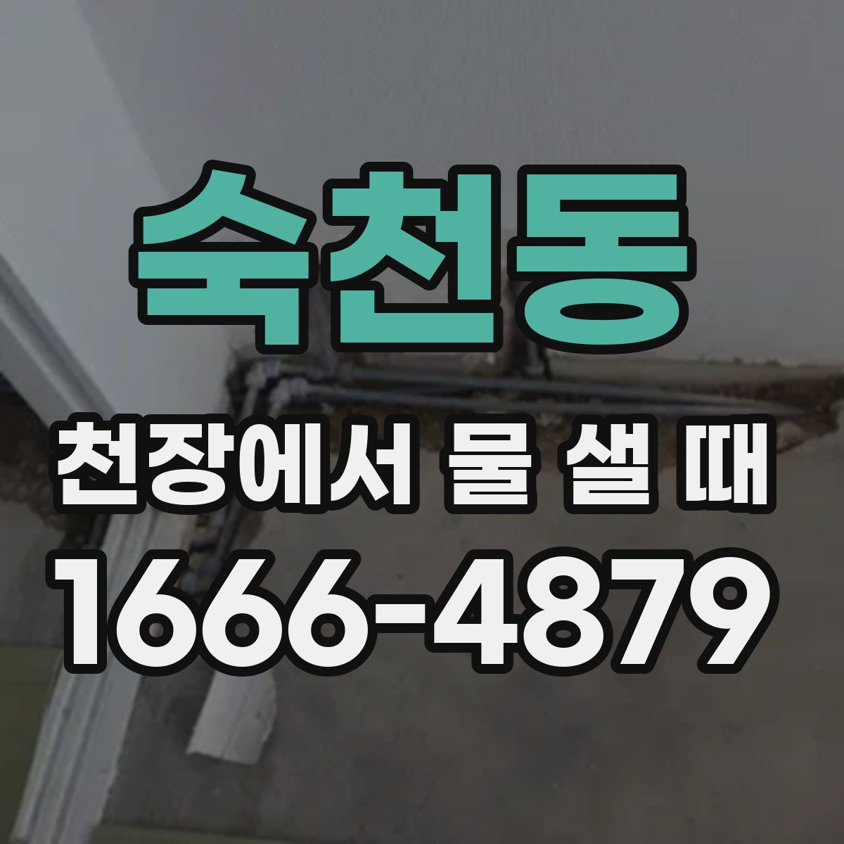 숙천동 천장에서 물 샐 때