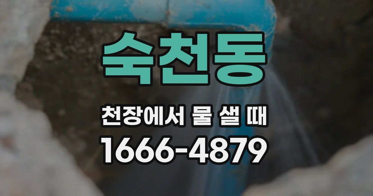 숙천동 천장에서 물 샐 때