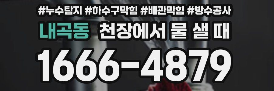 내곡동 천장에서 물 샐 때
