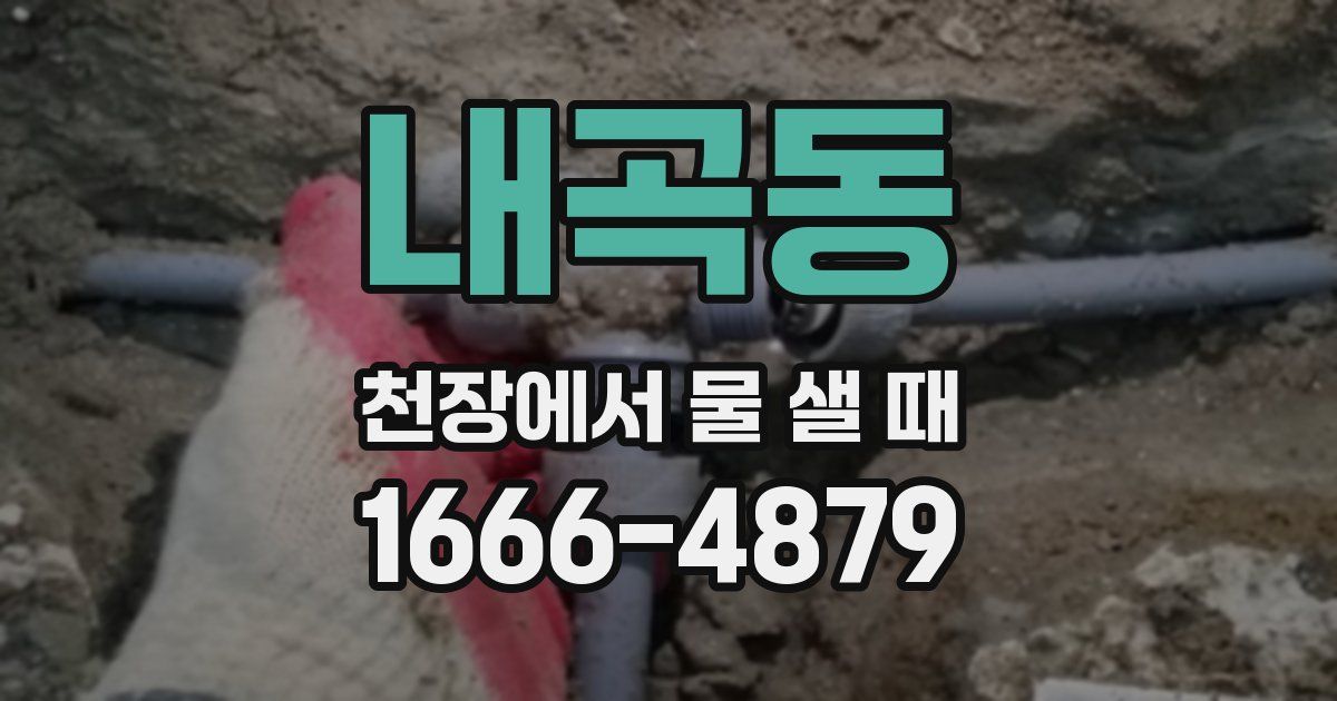 내곡동 천장에서 물 샐 때