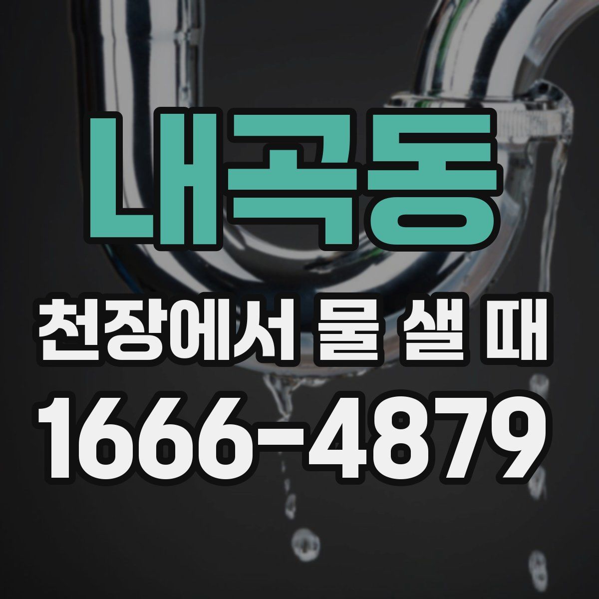 내곡동 천장에서 물 샐 때