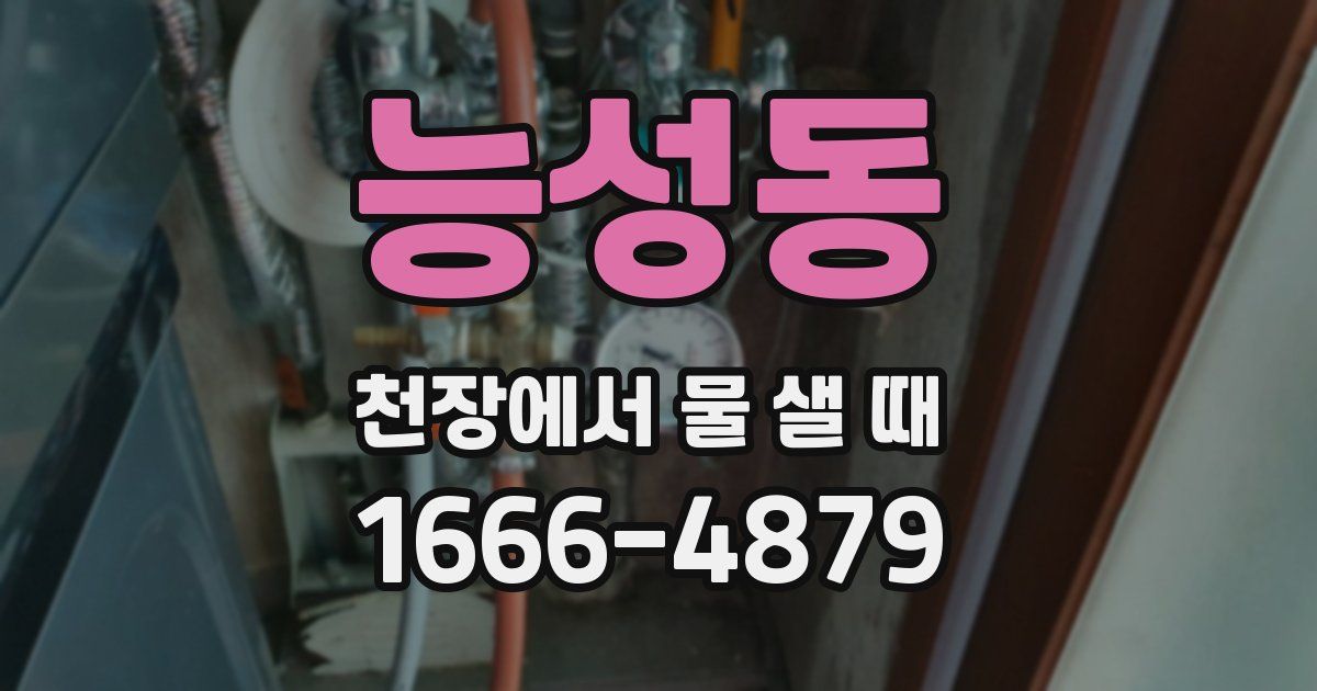 능성동 천장에서 물 샐 때