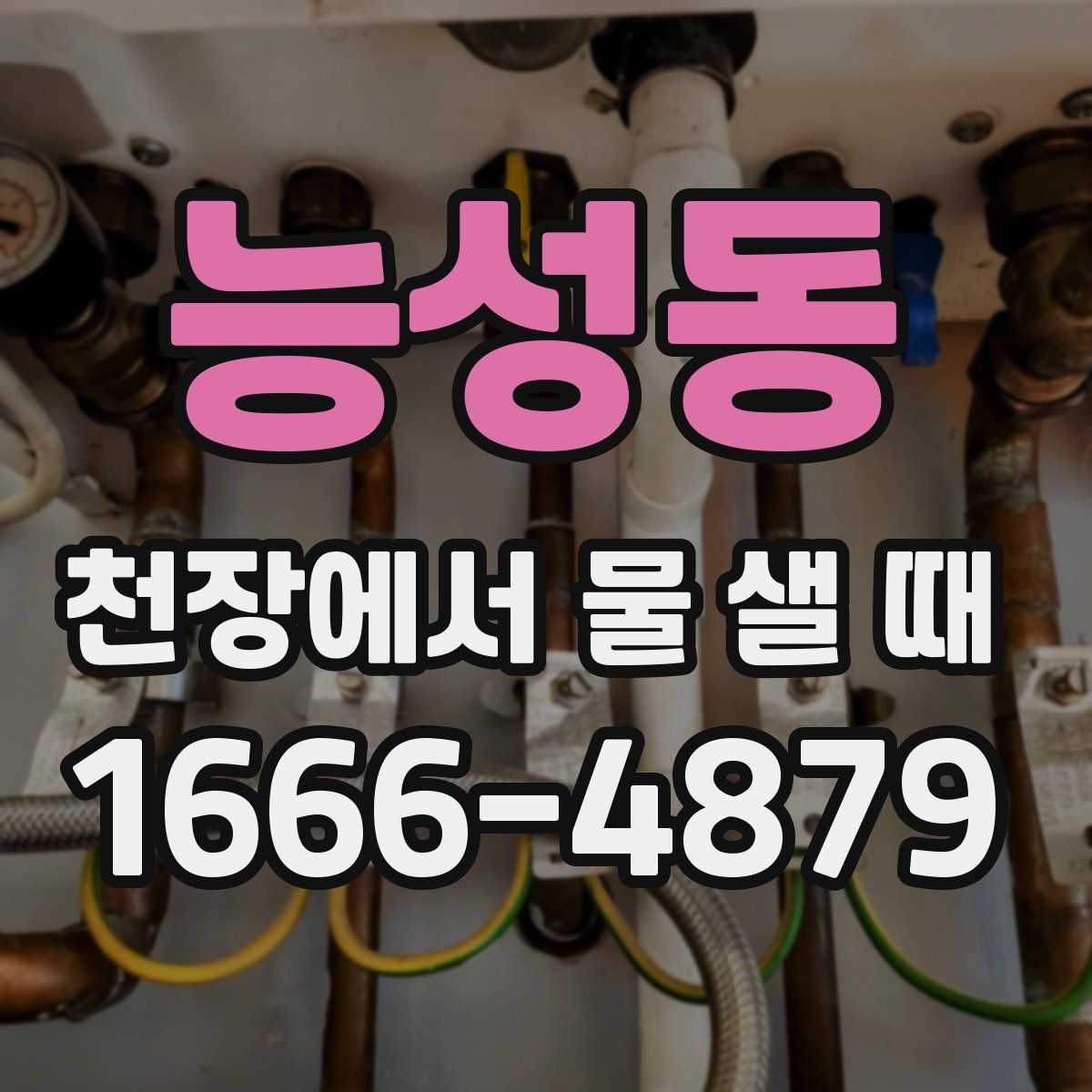 능성동 천장에서 물 샐 때