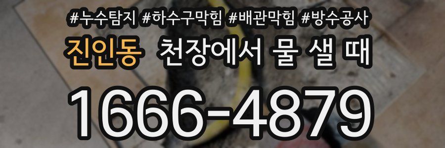 진인동 천장에서 물 샐 때