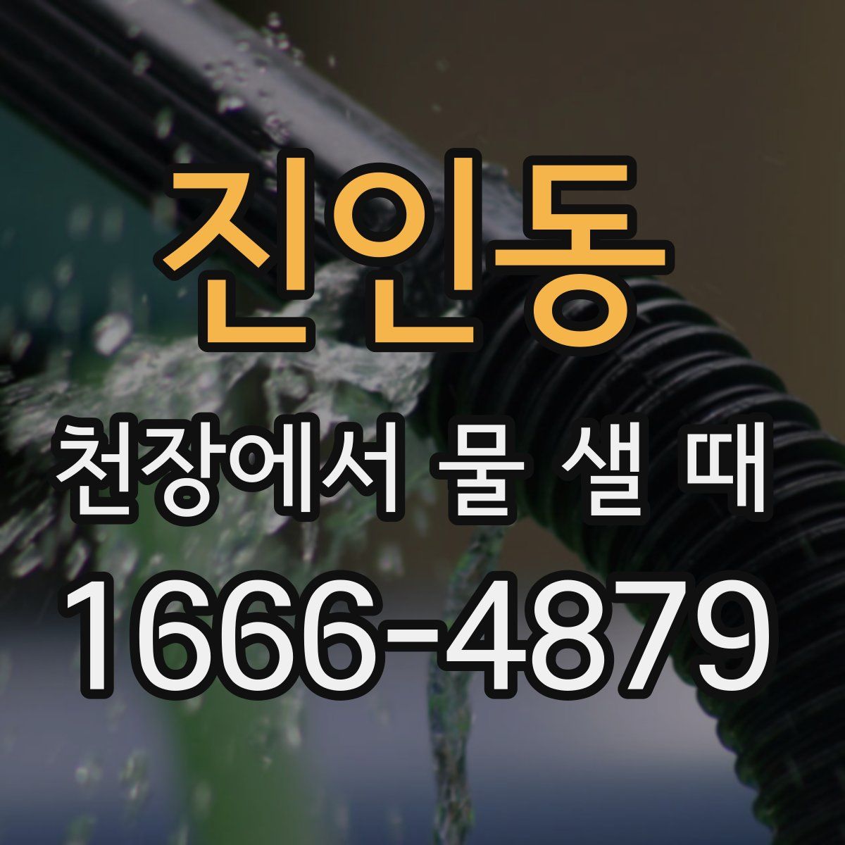 진인동 천장에서 물 샐 때