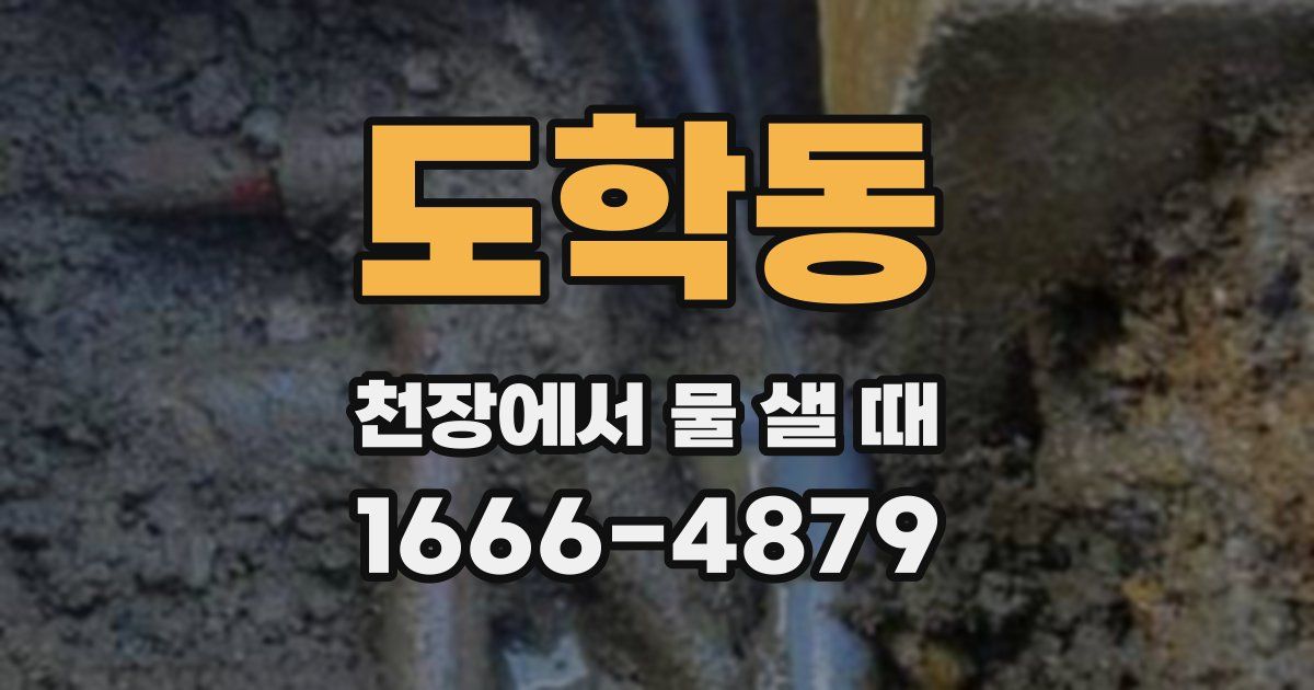도학동 천장에서 물 샐 때