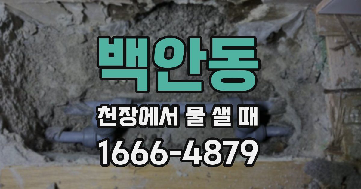 백안동 천장에서 물 샐 때