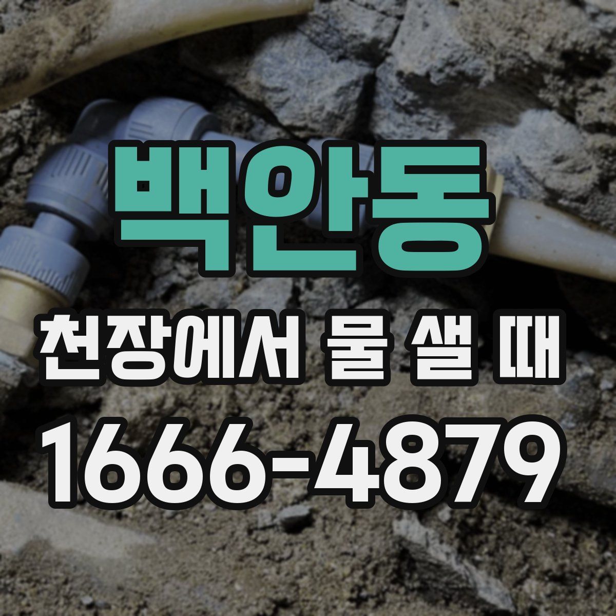 백안동 천장에서 물 샐 때